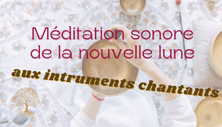 Conférences Méditation/Relaxation Voyage sonore - groupe