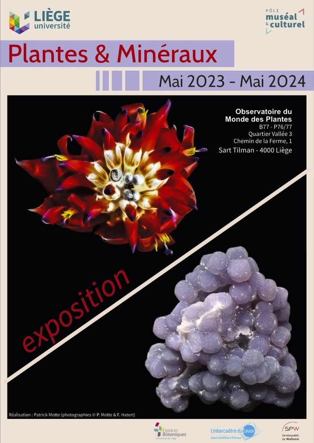 Expositions Exposition plantes minraux