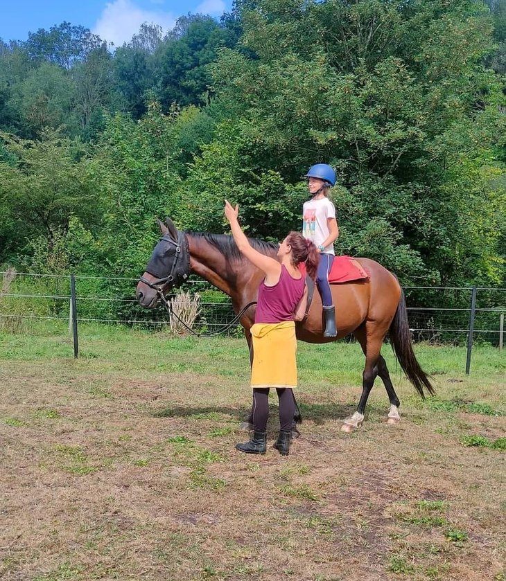 Stages,cours Cheval poney, toi