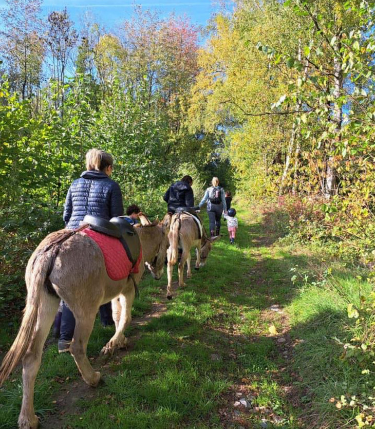 Loisirs Balade avec ânes