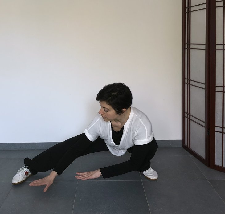 Stages,cours Qi gong