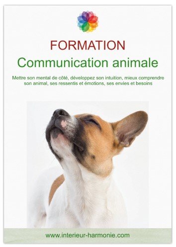 Stages,cours Formation Communication intuitive animale