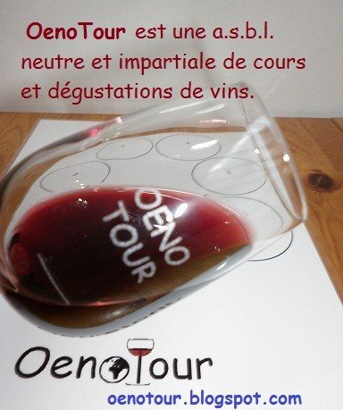 Stages,cours Oenologie: 9 cours dgustations vins un an