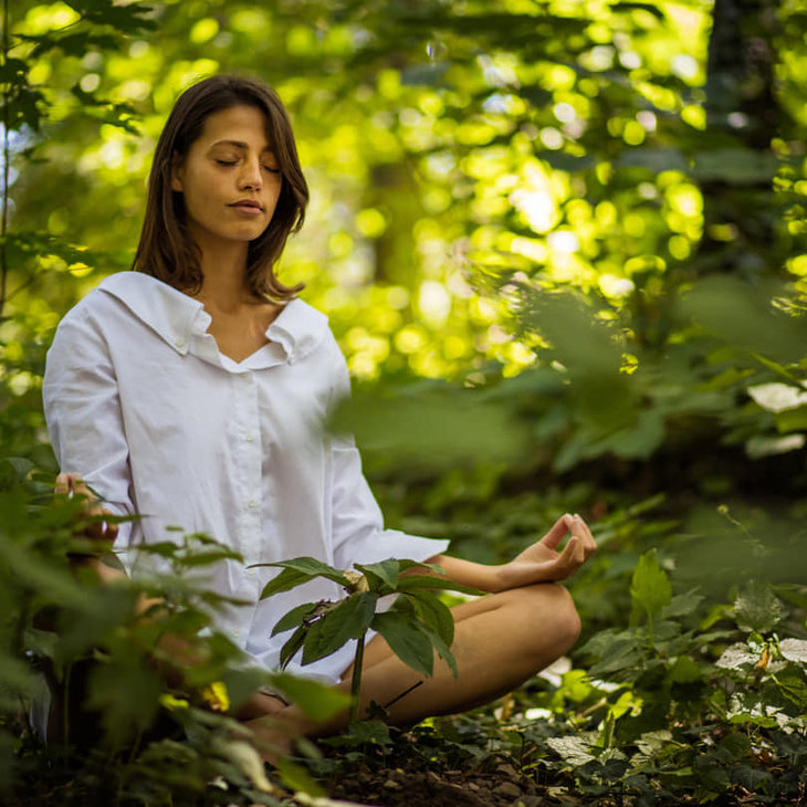 Stages,cours Méditation collective