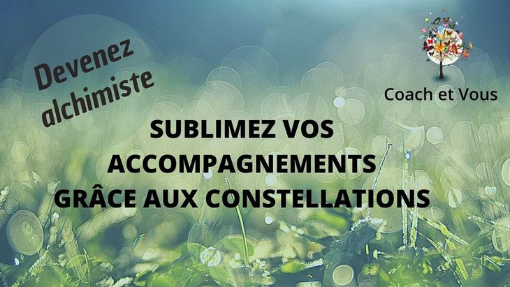 Stages,cours Formation constellations systmiques