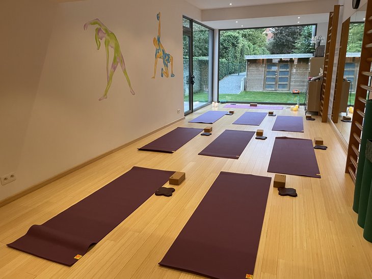 Stages,cours Yoga Vinyasa Yoga Thrapie/Yin Yoga