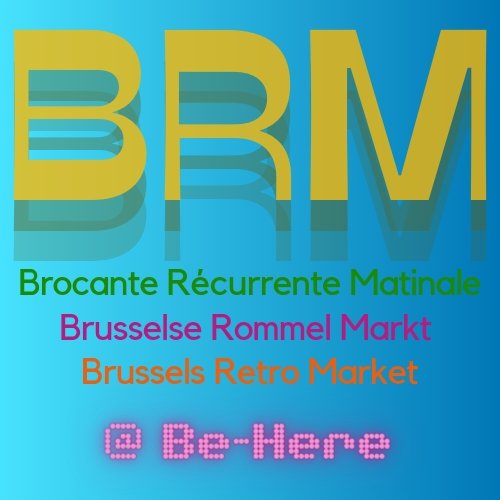  Nouvelle Brocante/March Artisanal  l Interieur  Bruxelles (Changements)