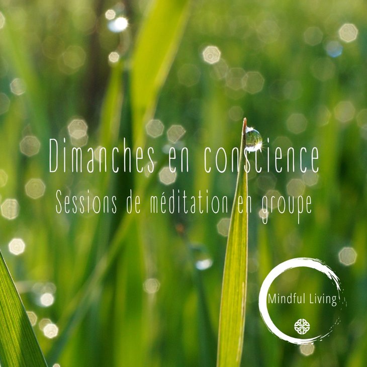 Stages,cours Dimanches conscience