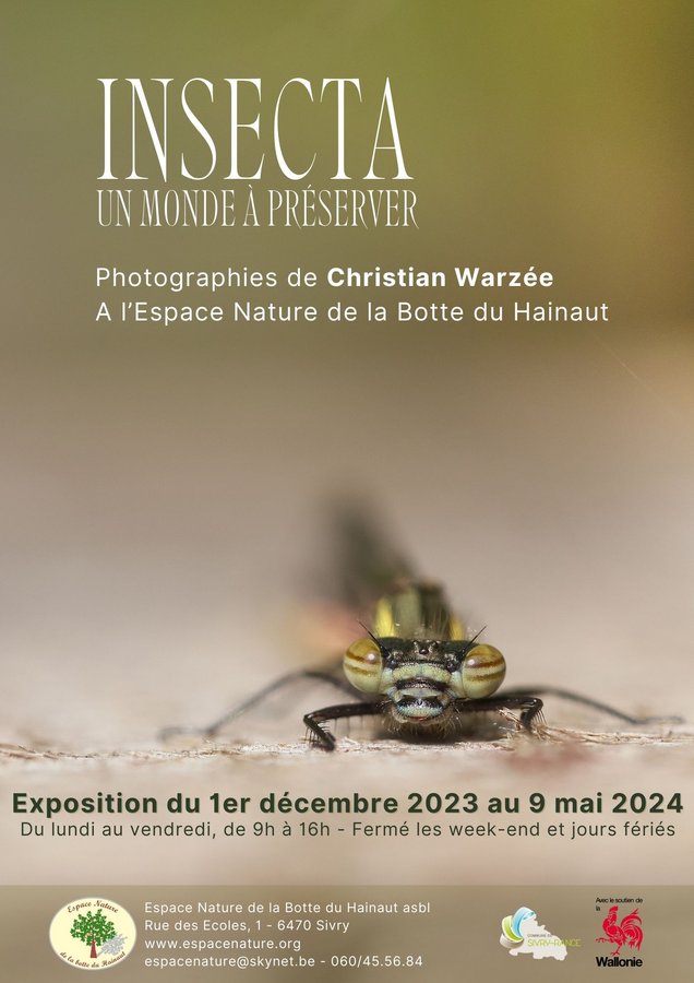 Expositions Insecta, monde  prserver