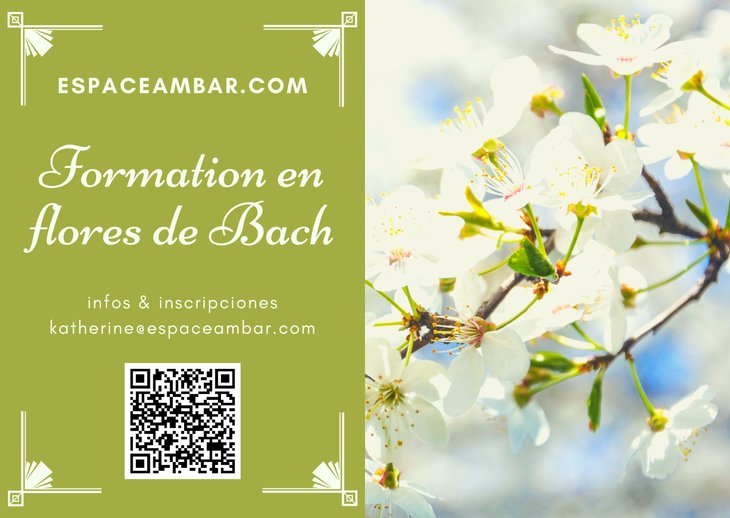 Stages,cours Formation initiation fleurs Bach N1