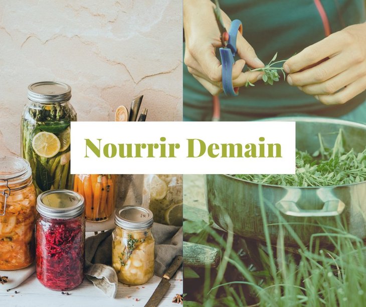 Stages,cours Stage  Nourrir Demain 