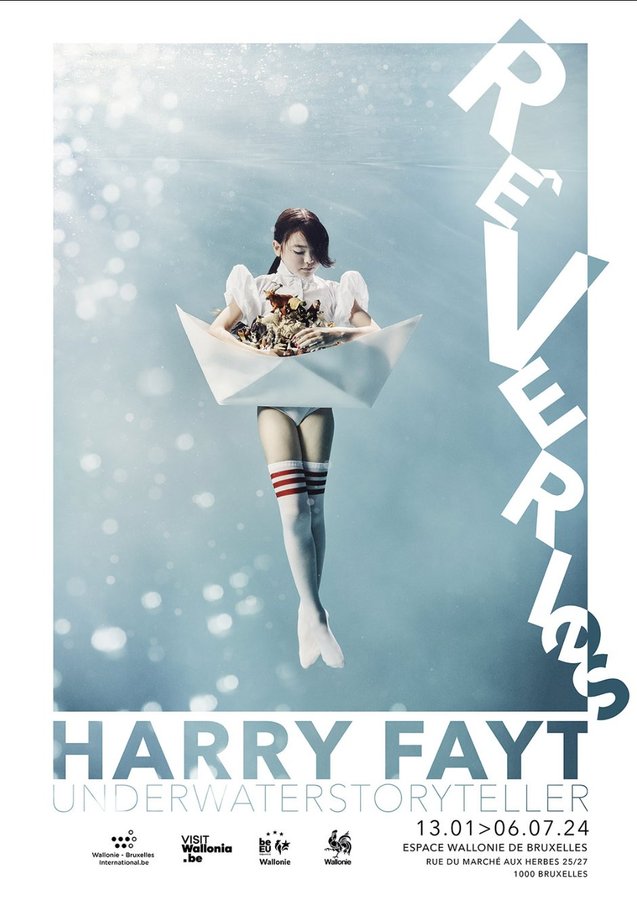 Expositions  Rveries  - plongez dans l univers subaquatique d Harry Fayt