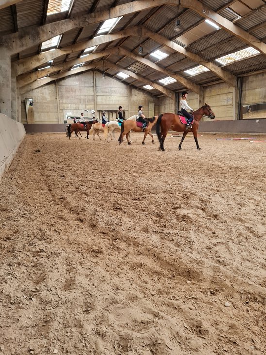 Stages,cours Cours d équitation pour enfants