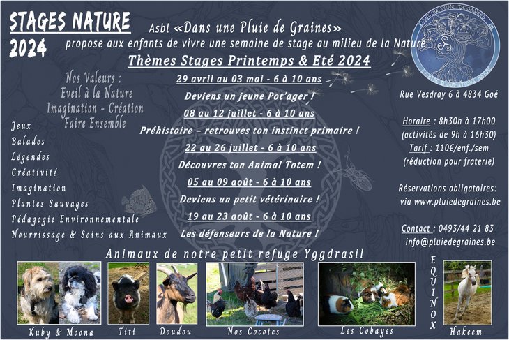 Stages,cours Stage Nature : Dcouvre Animal Totem 