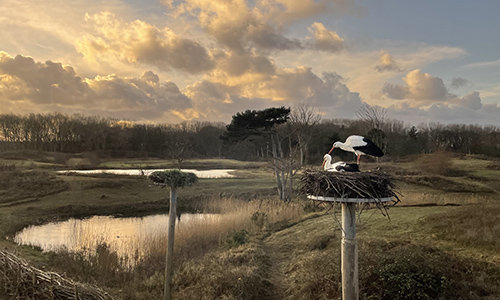 Loisirs Zwin Parc Nature