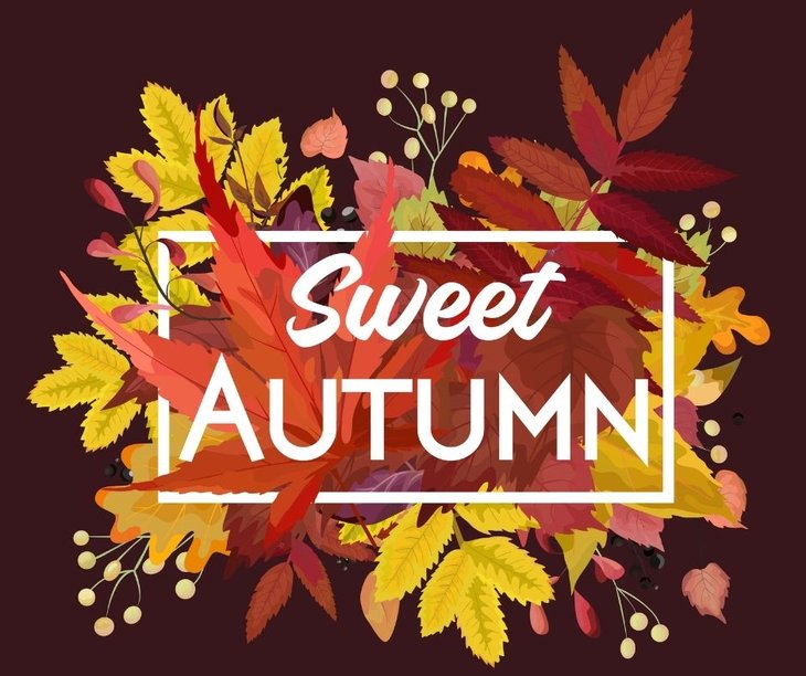 Loisirs Sweet Autumn