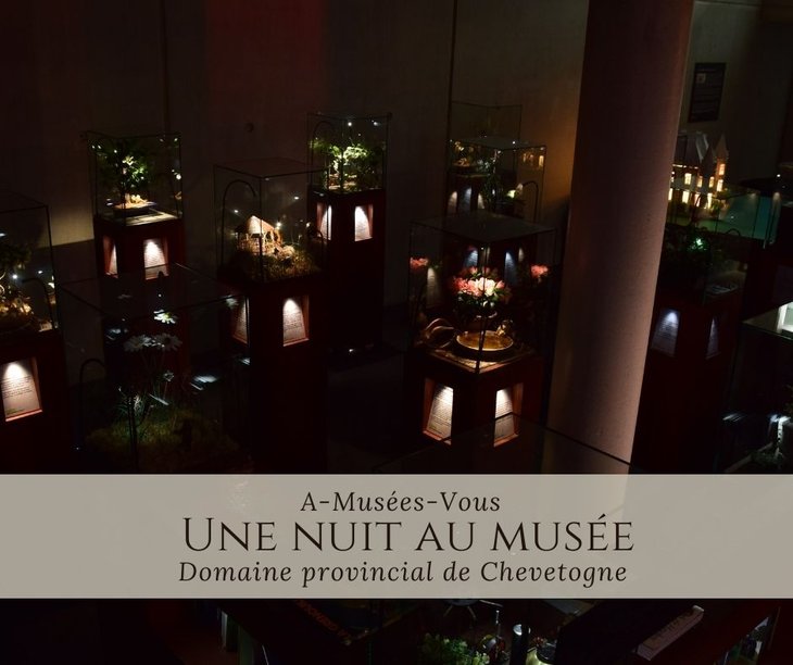 Loisirs A-Muses-Vous : nuit muse