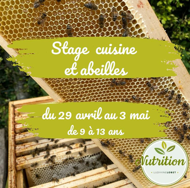 Stages,cours Stage Cuisine Abeilles