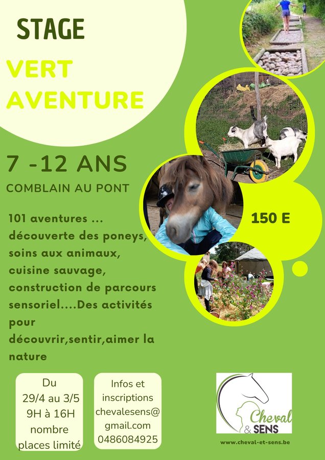 Stages,cours Vert Aventure