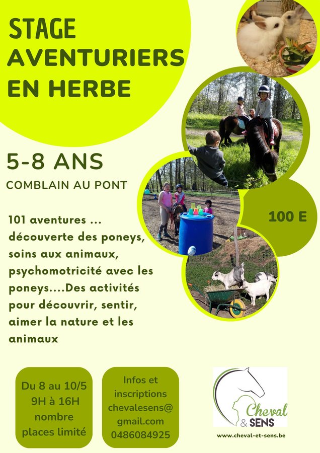 Stages,cours Stage Aventuriers herbe