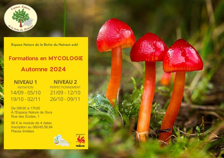 Stages,cours Formations mycologie