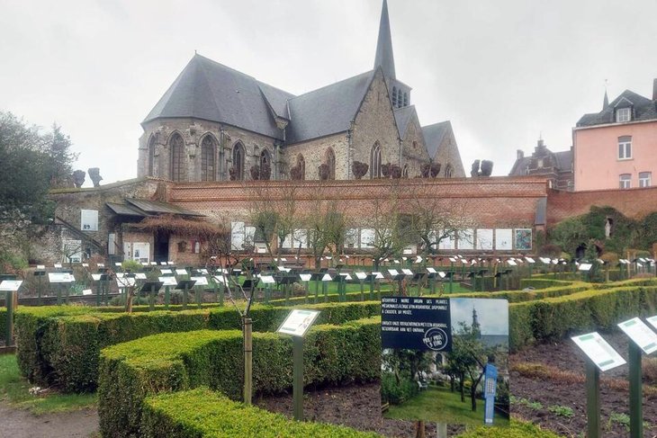 Expositions Hpital Notre-Dame  Rose