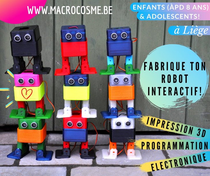 Stages,cours Fabrique A ton robot interactif (lectronique, programmation modlisat