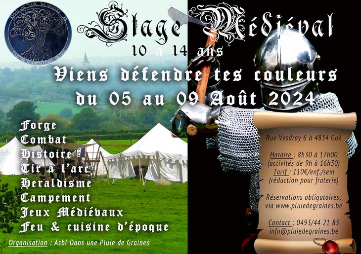 Stages,cours Stage Mdival   Viens dfendre couleurs 