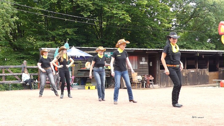 Stages,cours Cours danses country line dance