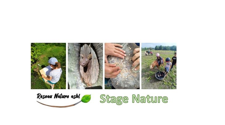 Stages,cours Stage enfants - & Nature
