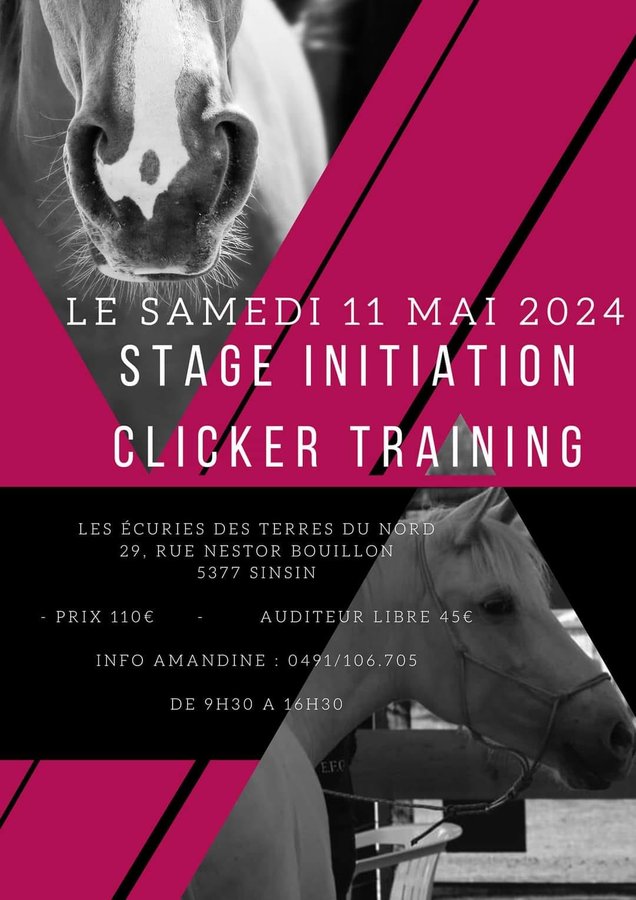 Stages,cours Stage initiation clicker training