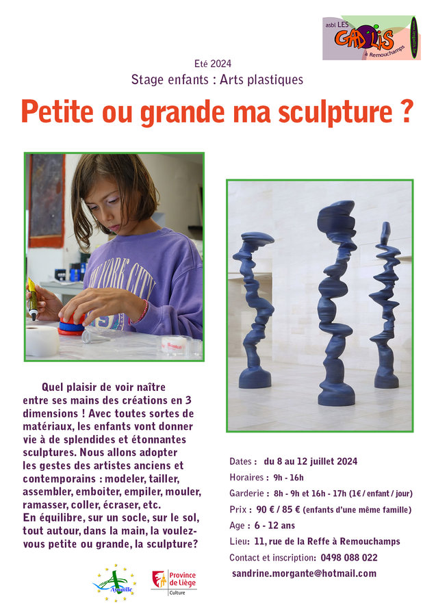 Stages,cours Petite grande sculpture ?