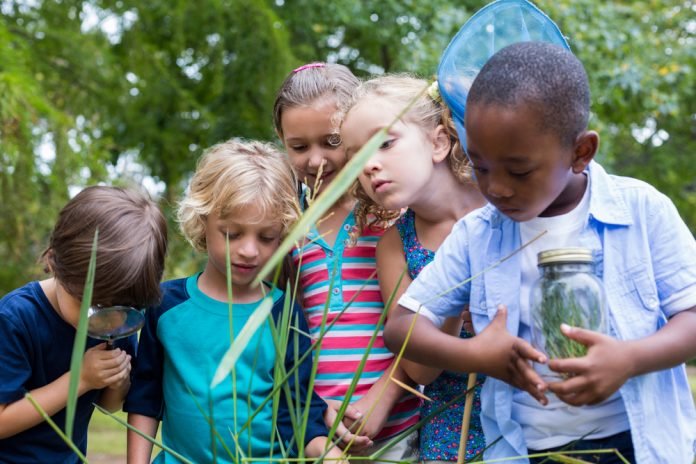 Stages,cours Stage  Les petits naturalistes 