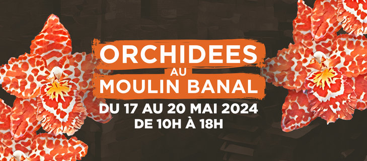 Expositions Exposition d orchides Moulin Banal