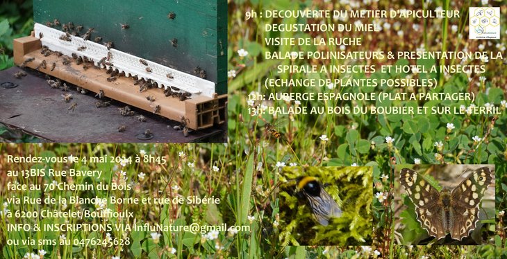 Loisirs Atelier apiculture & Balade insectes flore