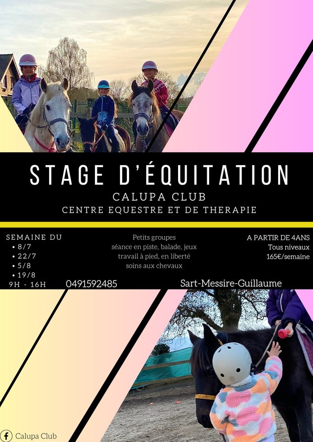 Stages,cours Stage dquitation