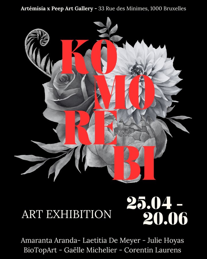 Expositions Vernissage l exposition Komorebi