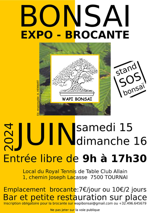 Expositions Expo bonsai