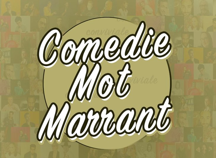 Spectacles Plateau d humoristes / Comedy Show