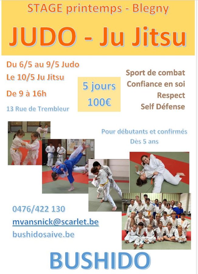 Stages,cours Stage Judo dbutants confirms