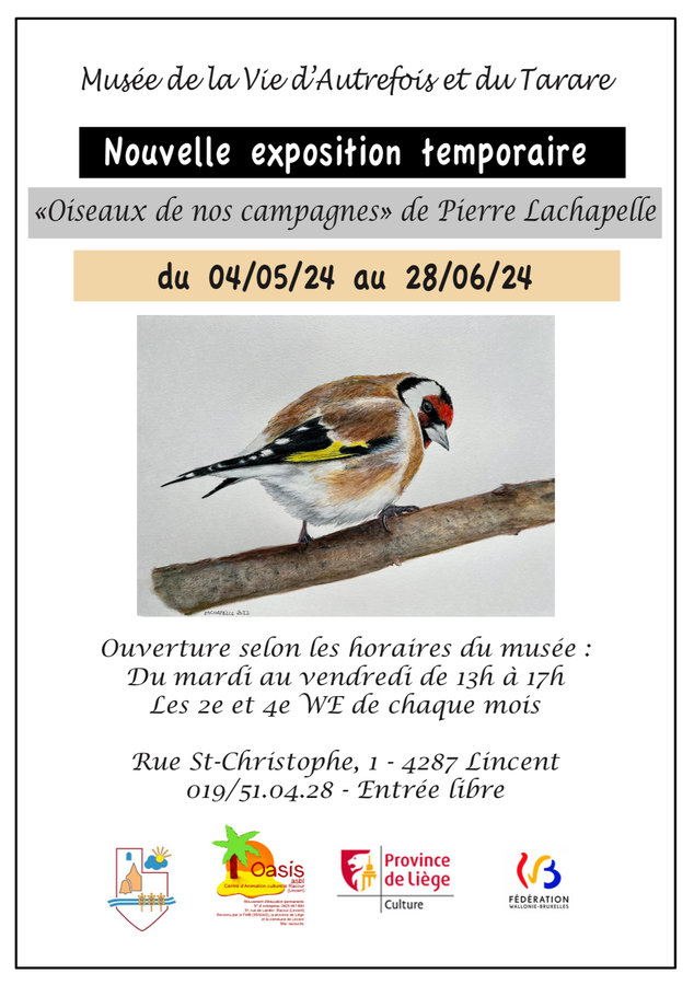 Expositions Exposition dessins d oiseaux Monsieur Pierre Lachapelle