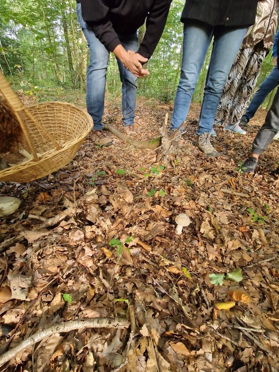 Loisirs Balade guide : champignons...Ce nest sorcier 