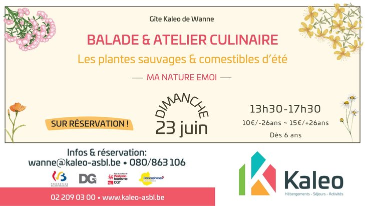 Loisirs Balade & atelier culinaire : plantes sauvages & comestibles d t