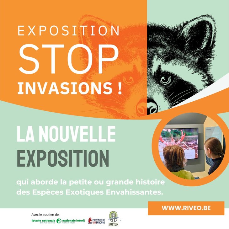 Expositions Exposition  Stop Invasions ! 