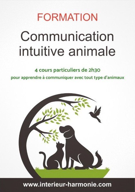 Stages,cours Formation Communication intuitive animale