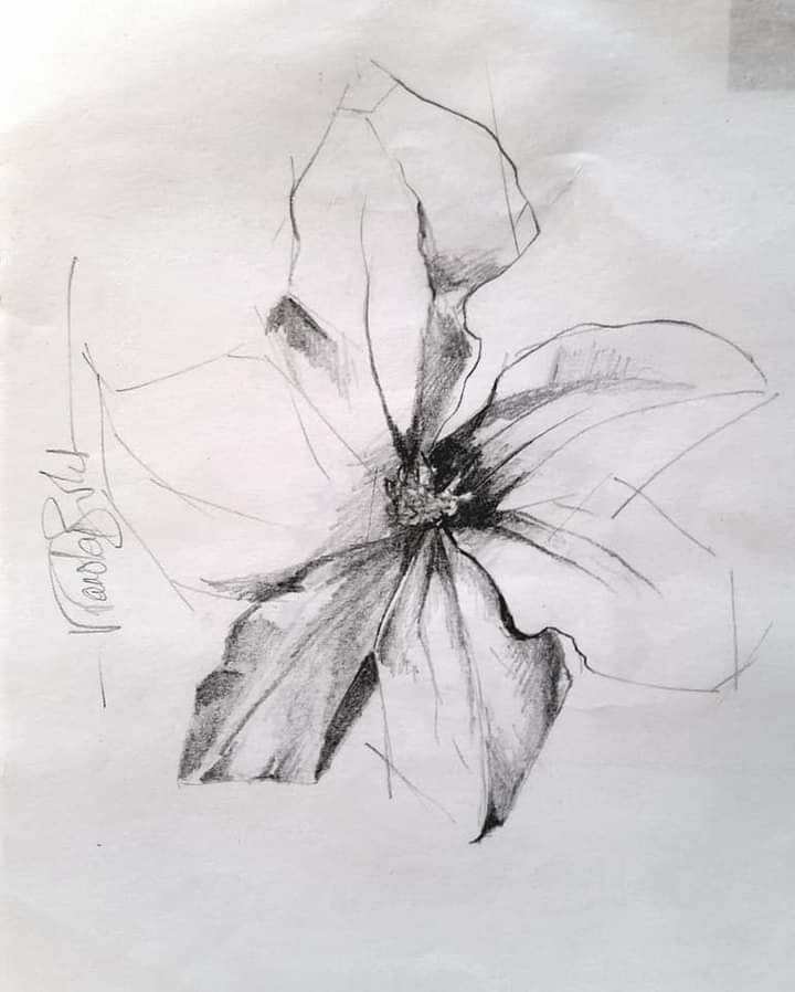 Stages,cours Atelier dessin /peinture