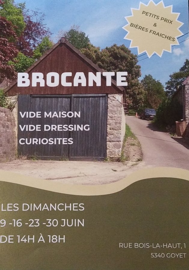  Brocante - Vide maison - vide dressing - curiosits