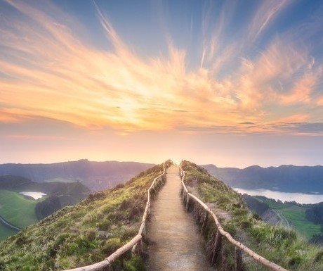 Stages,cours Formation Shoden, voie Reiki Usui