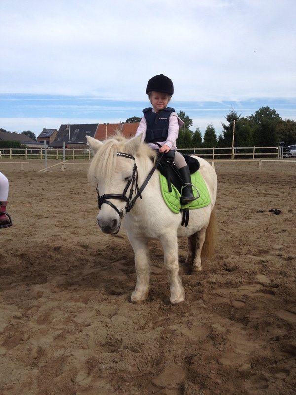 Stages,cours Baby-poney
