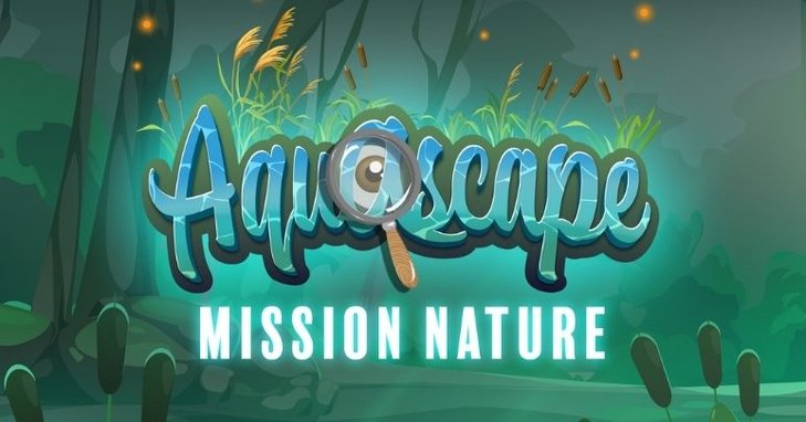Loisirs Aquascape